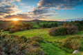 Dartmoor National Park - PhotoDune Item for Sale