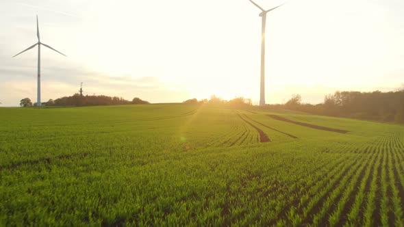 drone flight over green fields with wind turbines into the sunrise