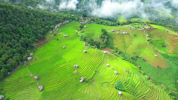 Drone flying over fields in Pa pong piang rice terraces