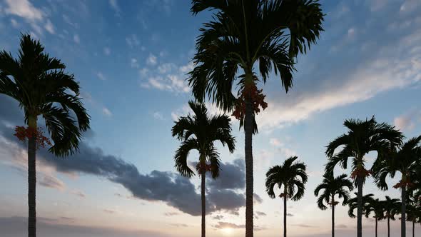 Alley Palm Trees, Great Design for Any Purposes. California Palm Trees.