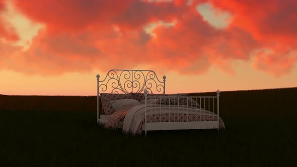 Bed In a Field