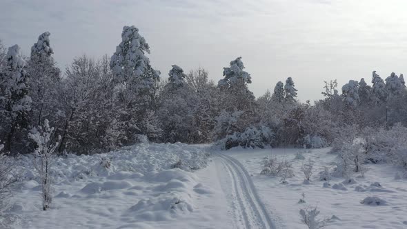 Slow flight toward the snowed  woods 4K drone video