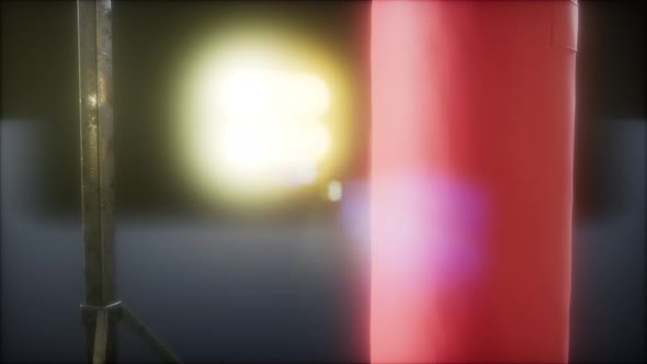 Punching Bag for Boxing alt