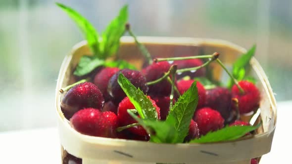 Container of Fresh Ripe Red Cherries with Mint