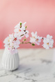Almond flower - PhotoDune Item for Sale