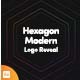 Hexagon Modern Logo Reveal - VideoHive Item for Sale