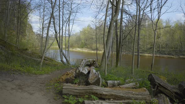 Gauja River in Early Spring in Sigulda