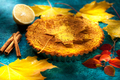 Pumpkin pie with cinnamon - PhotoDune Item for Sale