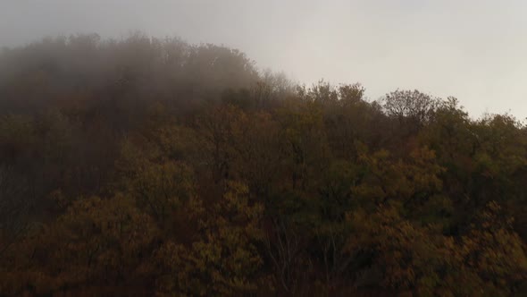 Flying Over A Forest On A Foggy Day 2