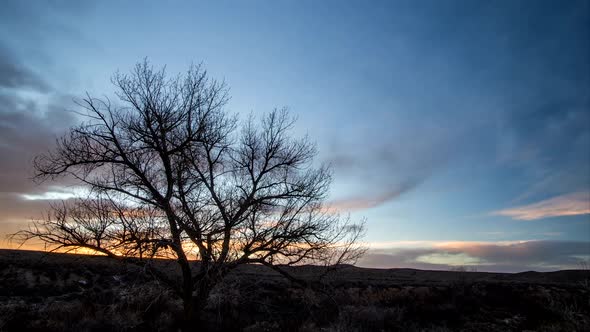 Sunset Time Lapse of Single Tree against the Sky