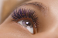 Eyelash Extension Procedure. Close up view of beautiful female eye with long eyelashes, smooth - PhotoDune Item for Sale