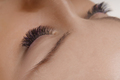 Eyelash Extension Procedure. Close up view of beautiful female eye with long eyelashes, smooth - PhotoDune Item for Sale