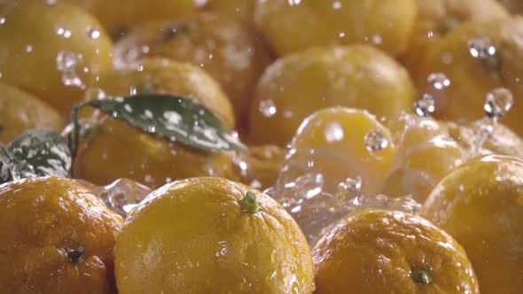 ÇPeeled Tangerine Falling in Water Between Tangerines. Slow Motion alt