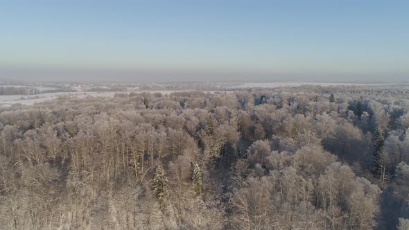 Winter Landscape Countryside