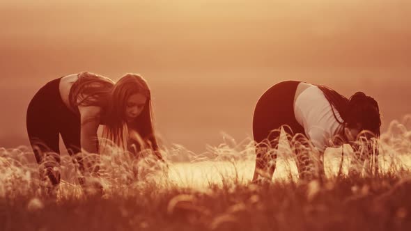 Two Young Women Doing Warm Up Exercises on Sunset Wheat Field  Bending Down