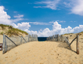 Path way to the beach at Cape Cod - PhotoDune Item for Sale