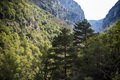 Verdon Gorge (Grand canyon du Verdon), Alpes de Haute Provence, South of France, Europe - PhotoDune Item for Sale
