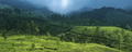Tea plantations in the mountains landscape of India, Munnar, Western Ghats Mountains, Kerala - PhotoDune Item for Sale