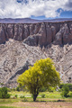 Cachi Valley, Calchaqui Valleys, Salta Province, North Argentina, South America - PhotoDune Item for Sale