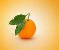 full  navel orange - PhotoDune Item for Sale