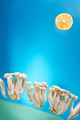 Edible white shimeji mushrooms flying above blue sky - PhotoDune Item for Sale