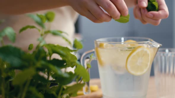 Close up of woman adding mint for lemonade in the kitchen. Shot with RED helium camera in 4K.