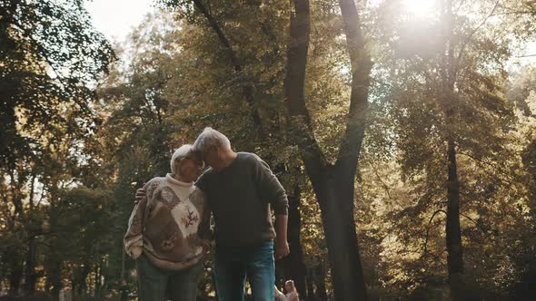 Happy Old Couple Hugging in Park. Senior Man Flirting with Elderly Woman. Romance at Old Age on