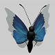 Blue butterfly - 3DOcean Item for Sale