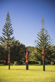Pouwhenua (Maori totem poles telling a story), Waitangi Treaty Grounds, Bay of Islands, Northland Re - PhotoDune Item for Sale