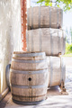 Oak wine barrels at a vineyard Bodega (winery) in the Maipu wine region of Mendoza, Mendoza Province - PhotoDune Item for Sale