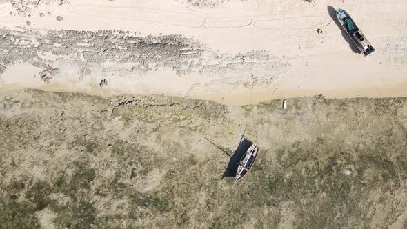 Low Tide in the Ocean Near the Coast of Zanzibar Island Tanzania