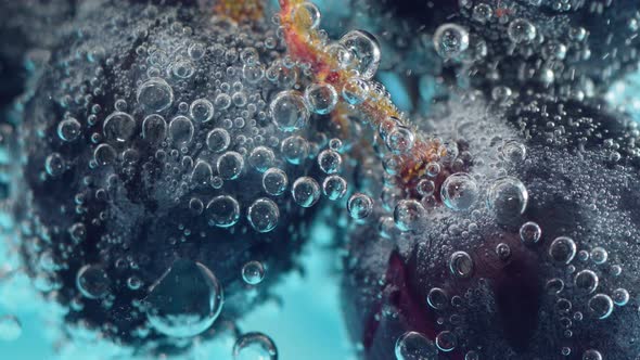 Black Grapes Fruit Under Water Selective Focus Macro