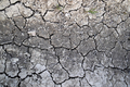 The effects of drought on the earth - PhotoDune Item for Sale