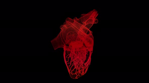 Head Up Display of Advance Human Biomedical Diagnostic Heart