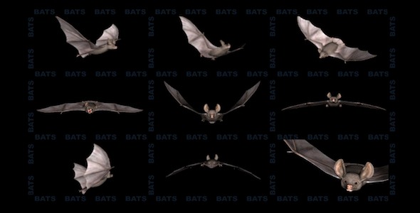 Bats - Project Kit (9 Loops) alt