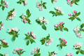 Bloom pattern - PhotoDune Item for Sale