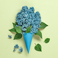 Lilac ice cream - PhotoDune Item for Sale