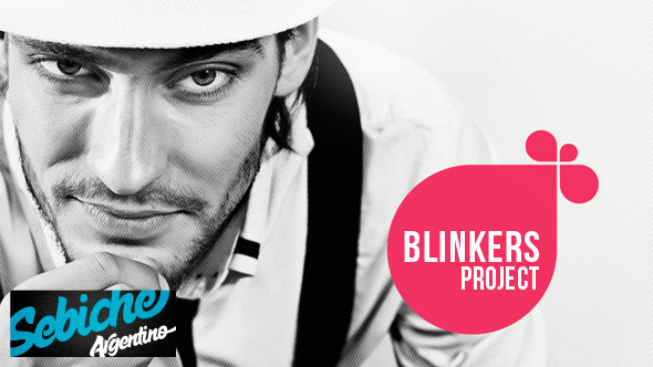 Blinkers Project