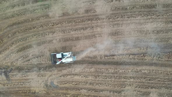 Harvester in the rice field