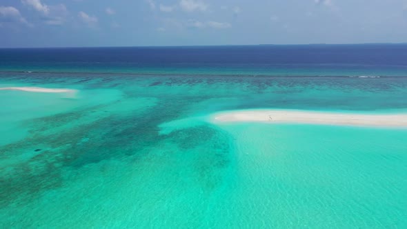 Aerial panorama of tropical island beach wildlife by blue water and white sand background of a daytr