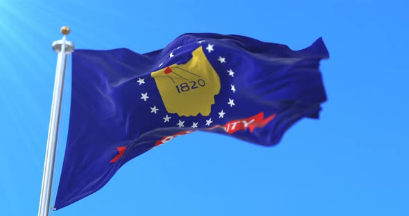 Wood County Flag, United States