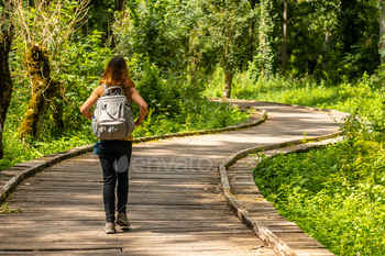 ween La Garette and Coulon, Marais Poitevin the Green Venice, near the town of Niort, France