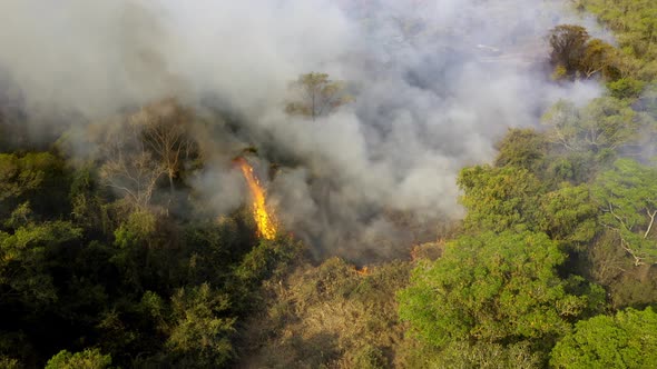 Fires set by settlers to clear brush and trees burn in Brazilian Pantanal - aerial view of deforesta