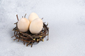 Wooden Easter eggs for creativity and coloring in nest made of branches. DIY. - PhotoDune Item for Sale