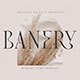 Banery - Modern Serif - GraphicRiver Item for Sale