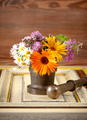 medicinal herbs  and flowers in a mortar - PhotoDune Item for Sale