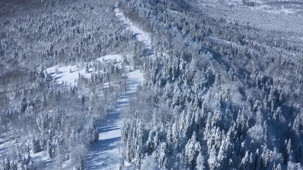 Flight Over a Fabulous Snowcovered Forest on the Slopes of the Mountains