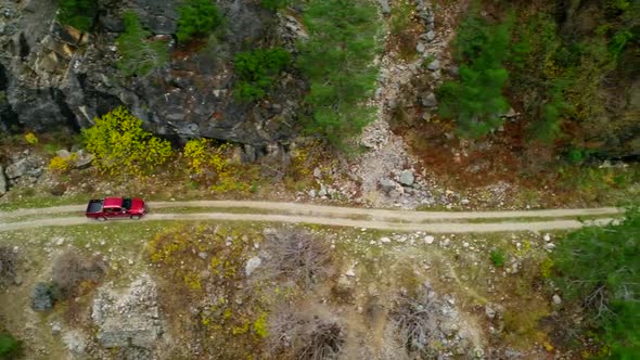 Driving Through Forest In The Autumn