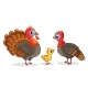 Family of Turkeys Stands - GraphicRiver Item for Sale
