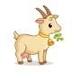 A Cute Goat with a Bell Stands and Chews Grass - GraphicRiver Item for Sale